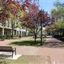 Rutgers University-Newark