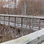 The Great Swamp National Wildlife Refuge