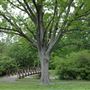 Weasel Brook Park