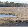 Bayville - Berkeley Shores