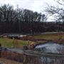 Lenape Park