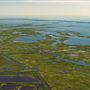 Edwin B. Forsythe National Wildlife Refuge