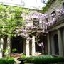 Van Vleck House and Gardens
