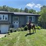 House #10198938