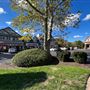 Woods Tavern