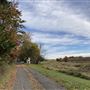 Lazy Brook Road Farm