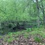 Pompton Lakes South End Trails - Blue Trail