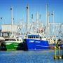 Cape May Docks
