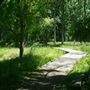 Teaneck Creek Conservancy