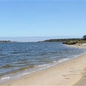 Cattus Island County Park - County Boat Dock/Silver Bay