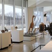 New Jersey State Museum - Interior
