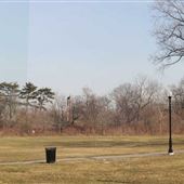 Watsessing Park - Bloomfield Area
