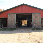 Wild West City - Barnyard