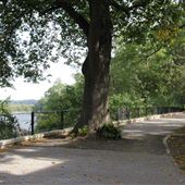 Hilltop Park