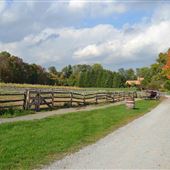 Fosterfields Living Historical Farms - Fields and Pastures