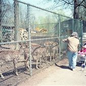 Johnson Park Zoo