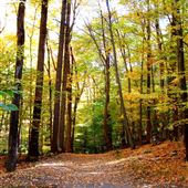 Lewis Morris County Park