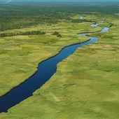Mullica River Tributaries