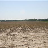 Salem County Farm Roads - Sharptown, Pilesgrove
