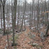 Ramapo Valley County Reservation - Red-Silver Trail