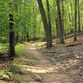 High Mountain Park Preserve