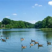 Haddon Township