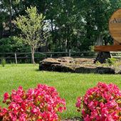 Autumn Lake Winery