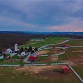 Born to Run Farms