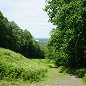Sourland Mountain Preserve