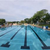 Ginny Duenkel Pool