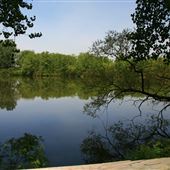 Amico Island Park
