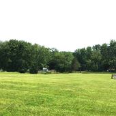 Bluebird Day Farm