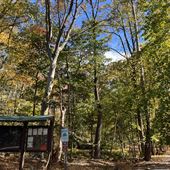 Livingston - Prospect Park