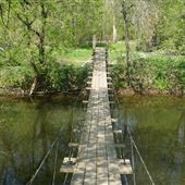 Institute Woods - Swinging Bridge Over Stony Brook
