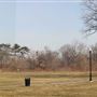 Watsessing Park - Bloomfield Area