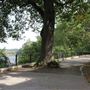 Hilltop Park