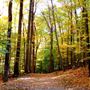 Lewis Morris County Park