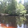 Wharton State Forest - Godfrey Bridge Campground