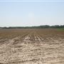 Salem County Farm Roads - Sharptown, Pilesgrove