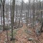 Ramapo Valley County Reservation - Red-Silver Trail