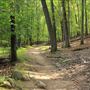 High Mountain Park Preserve