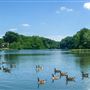 Haddon Township