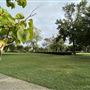 Library Square Park