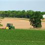 Dusty Lane Farms