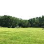 Bluebird Day Farm