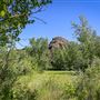 Laurel Hill Park