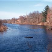 Clearview Lake
