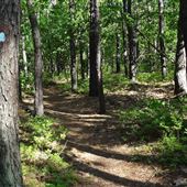 John A. Phillips Park