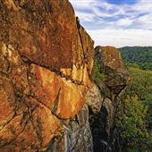 Norvin Green State Forest