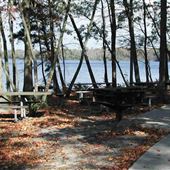 Belleplain State Forest